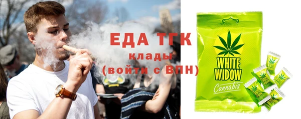 дживик Богородицк