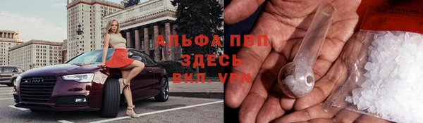 кокаин Богданович