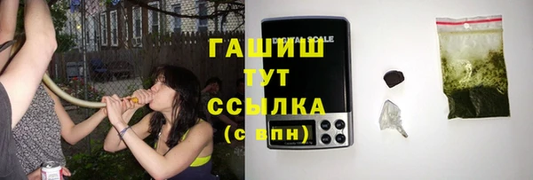 дживик Богородицк
