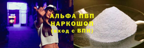 дживик Богородицк