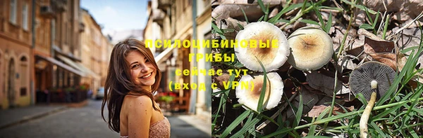 кокаин Богданович