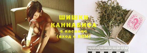дживик Богородицк