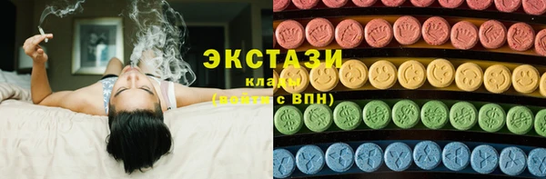 дживик Богородицк