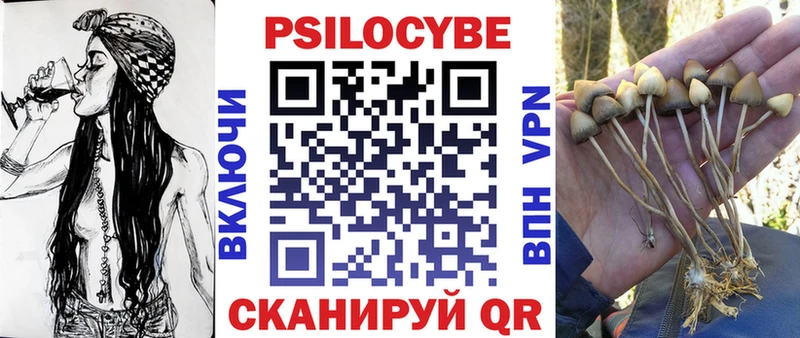 Галлюциногенные грибы Psilocybe  мега рабочий сайт  Малоярославец  магазин   