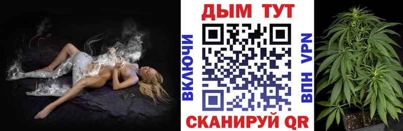 где продают наркотики  Малоярославец  ссылка на мегу как зайти  Шишки марихуана Amnesia 